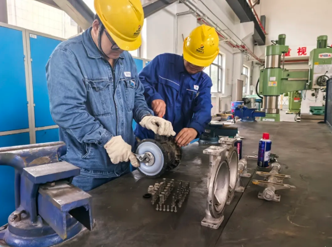 131760316908269747.png image.png